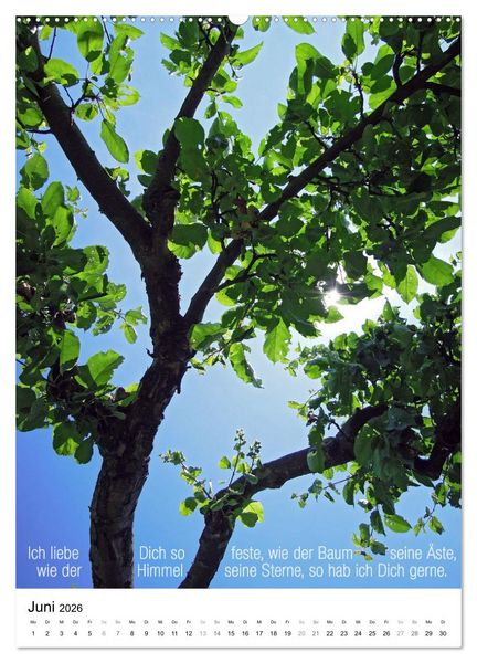 Produktbild: Licht Farbe Natur (Wandkalender 2026 DIN A2 hoch), CALVENDO Monatskalender