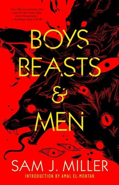 Produktbild: Boys, Beasts & Men