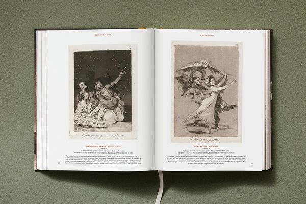 Produktbild: Goya