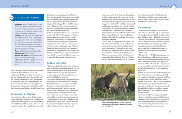 Produktbild: Was Katzen wirklich wollen