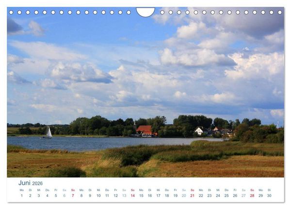 Produktbild: Schwansen 2026. Impressionen zwischen Schlei und Ostsee (Wandkalender 2026 DIN A4 quer), CALVENDO Monatskalender