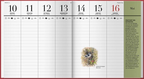 Produktbild: Der illustrierte Vogelkalender 2027