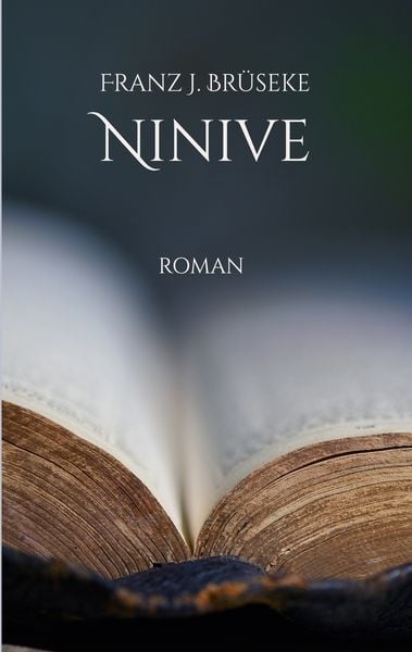 Ninive, Taschenbuch von FJ Brüseke, BoD – Books on Demand, 9783752878943