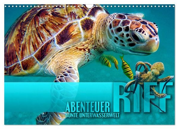 Produktbild: Abenteuer Riff - bunte Unterwasserwelt (Wandkalender 2026 DIN A3 quer), CALVENDO Monatskalender