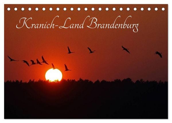 Produktbild: Kranich-Land Brandenburg (Tischkalender 2026 DIN A5 quer), CALVENDO Monatskalender
