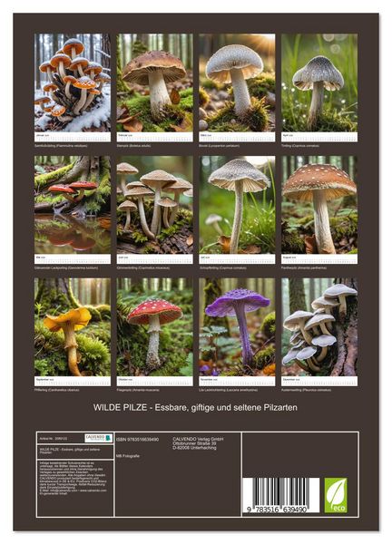 Produktbild: WILDE PILZE - Essbare, giftige und seltene Pilzarten (Wandkalender 2026 DIN A4 hoch), CALVENDO Monatskalender