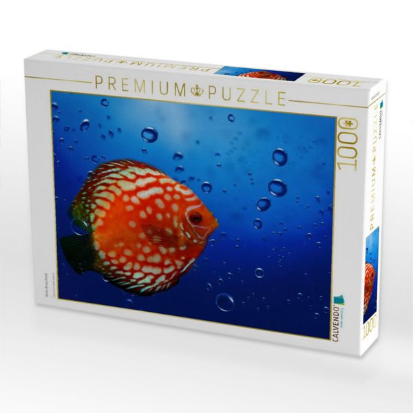 Produktbild: CALVENDO Puzzle Blubb Blubb Blubb | 1000 Teile Lege-Gr&ouml;&szlig;e 64x48cm Foto-Puzzle f&uuml;r gl&uuml;ckliche Stunden