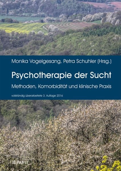 Produktbild: Psychotherapie der Sucht