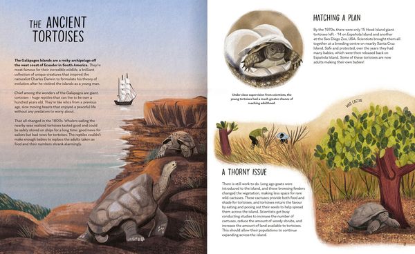 Produktbild: Rewilding