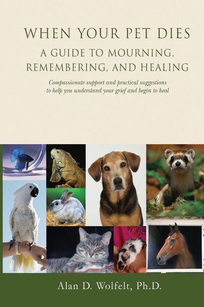 Produktbild: When Your Pet Dies