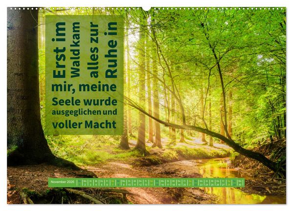 Produktbild: WALD Erholung pur (hochwertiger Premium Wandkalender 2026 DIN A2 quer), Kunstdruck in Hochglanz