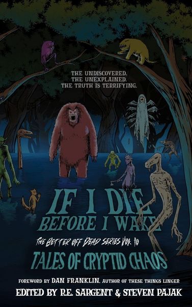 Produktbild: If I Die Before I Wake