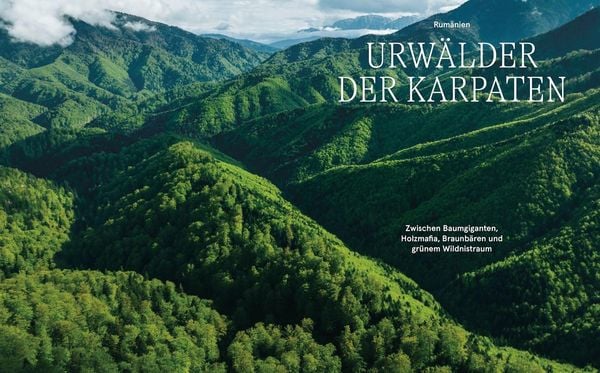 Produktbild: Wildes Europa