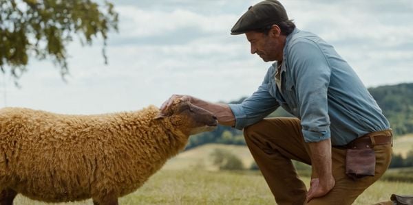 Produktbild: Glennkill: Ein Schafskrimi