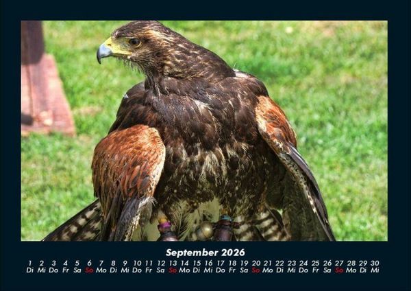 Produktbild: Welt der V&ouml;gel 2026 Fotokalender DIN A4