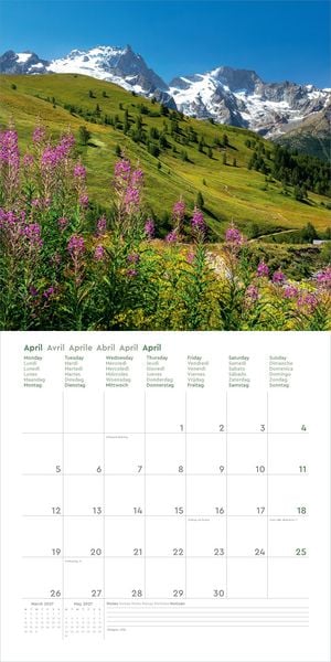 Produktbild: Aufgebl&uuml;ht - KUNTH Broschurkalender 2027