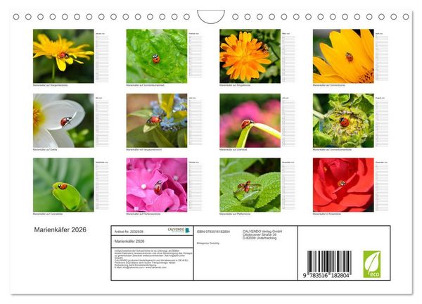 Produktbild: Marienk&auml;fer 2026 (Wandkalender 2026 DIN A4 quer), CALVENDO Monatskalender