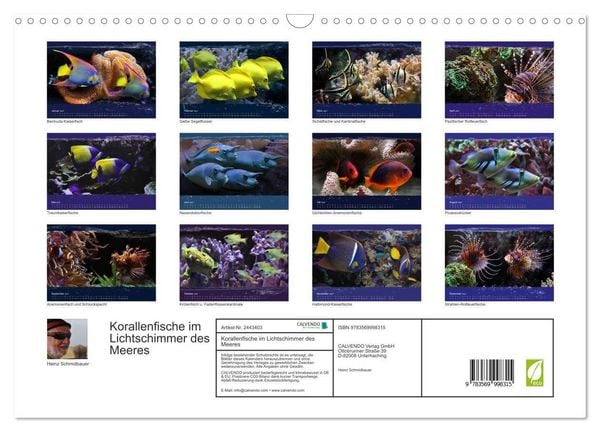 Produktbild: Korallenfische im Lichtschimmer des Meeres (Wandkalender 2027 DIN A3 quer), CALVENDO Monatskalender