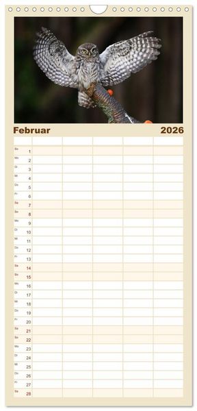 Produktbild: Familienplaner 2026 - Faszination Steinkauz mit 5 Spalten (Wandkalender, 21 x 45 cm) CALVENDO