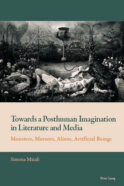 Produktbild: Towards a Posthuman Imagination in Literature and Media