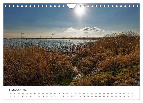 Produktbild: Schutzgebiet Wattenmeer (Wandkalender 2026 DIN A4 quer), CALVENDO Monatskalender