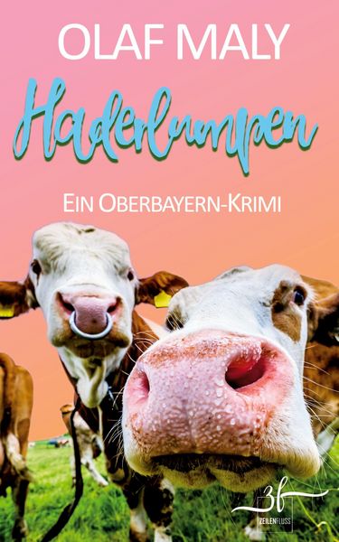 Haderlumpen, Taschenbuch von Olaf Maly, Zeilenfluss, 9783967146868