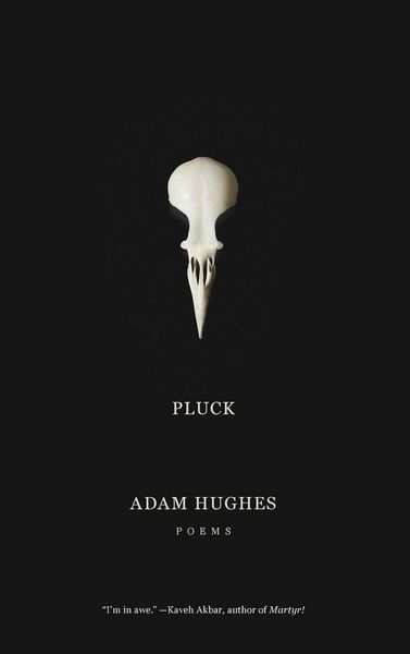 Produktbild: Pluck