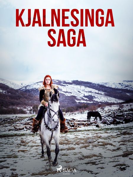 Produktbild: Kjalnesinga saga