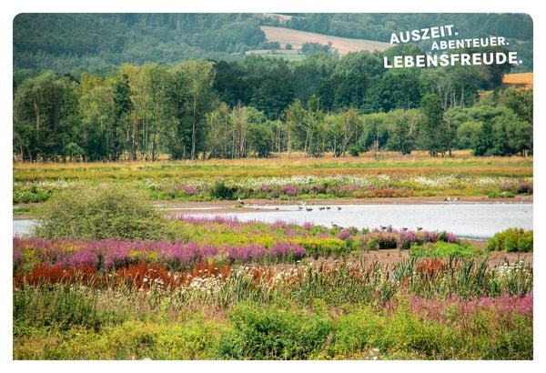 Produktbild: 52 kleine & große Eskapaden Kassel und Nordhessen