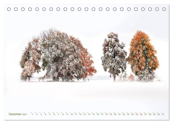 Produktbild: B&Auml;UME - wie gemalt (Tischkalender 2027 DIN A5 quer), CALVENDO Monatskalender