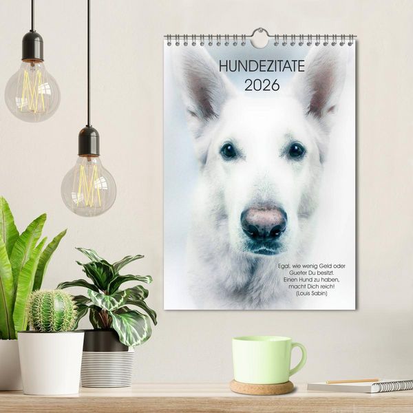 Produktbild: Hundezitate 2026 (Wandkalender 2026 DIN A4 hoch), CALVENDO Monatskalender