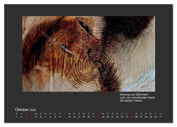 Produktbild: MAGIE HOLZ 2026 (Wandkalender 2026 DIN A3 quer), CALVENDO Monatskalender