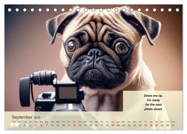 Produktbild: Great fun for pug lovers (Desk Calendar 2026 DIN A5 landscape), CALVENDO 12 Month DeskCalendar