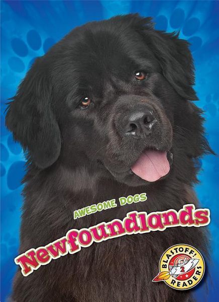 Produktbild: Newfoundlands