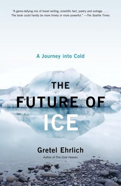 Produktbild: The Future of Ice