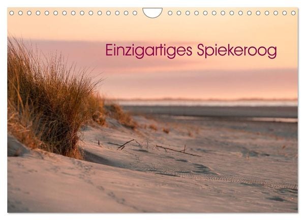 Einzigartiges Spiekeroog (Wandkalender 2025 DIN A4 quer), CALVENDO Monatskalender