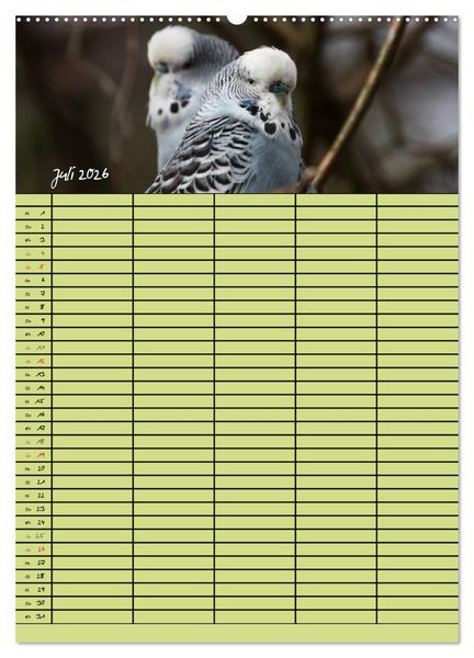 Produktbild: Der Wellensittich-Familienplaner (hochwertiger Premium Wandkalender 2026 DIN A2 hoch), Kunstdruck in Hochglanz
