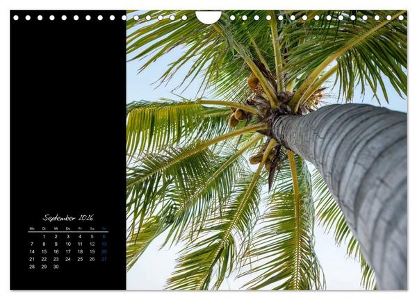Produktbild: Malediven - dem Himmel so nah (Wandkalender 2026 DIN A4 quer), CALVENDO Monatskalender