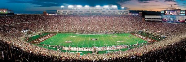 Florida State 1000 Piece Puzzle