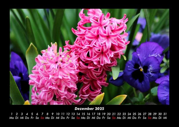 Produktbild: Blumenzauber 2025 Fotokalender DIN A3
