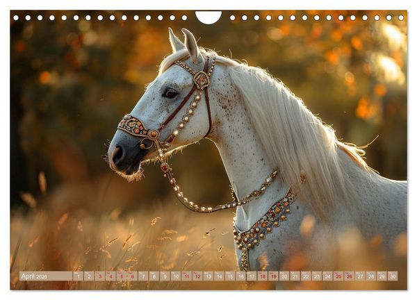 Produktbild: White Horses in Splendor (Wall Calendar 2026 DIN A4 landscape), CALVENDO 12 Month Wall Calendar