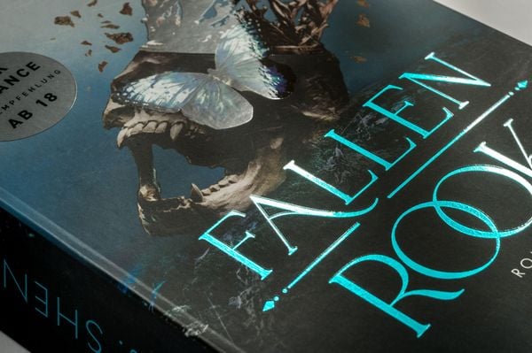 Produktbild: Fallen Rook
