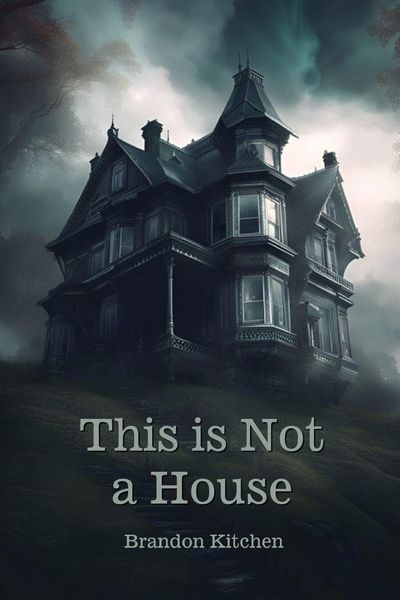 Produktbild: This is Not a House
