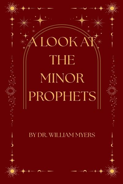 Produktbild: A Look at the Minor Prophets