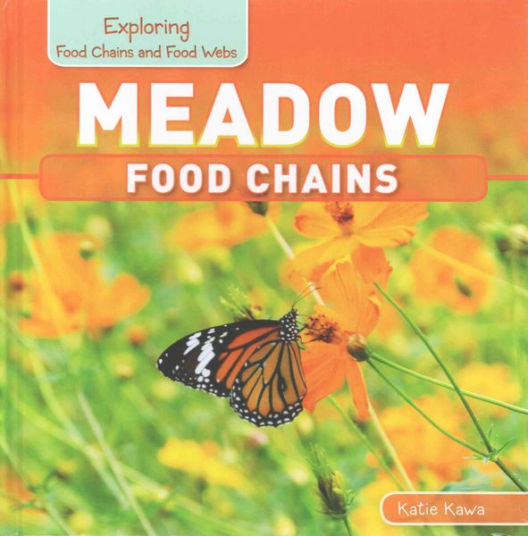 Produktbild: Meadow Food Chains