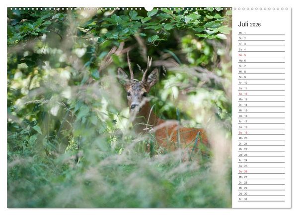 Produktbild: Emotionale Momente: Wild und Jagd. (Wandkalender 2026 DIN A2 quer), CALVENDO Monatskalender