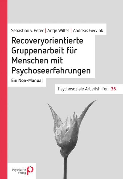 Produktbild: Recoveryorientierte Gruppenarbeit f&uuml;r Menschen mit Psychoseerfahrungen