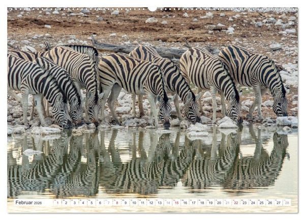 Produktbild: Afrika - Namibia (hochwertiger Premium Wandkalender 2026 DIN A2 quer), Kunstdruck in Hochglanz