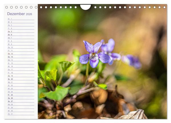 Produktbild: Wenn im Fr&uuml;hling die Natur wieder erwacht (Wandkalender 2026 DIN A4 quer), CALVENDO Monatskalender