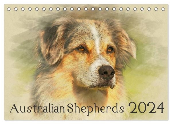 Australian Shepherds 2024 (Tischkalender 2024 DIN A5 quer), CALVENDO Monatskalender